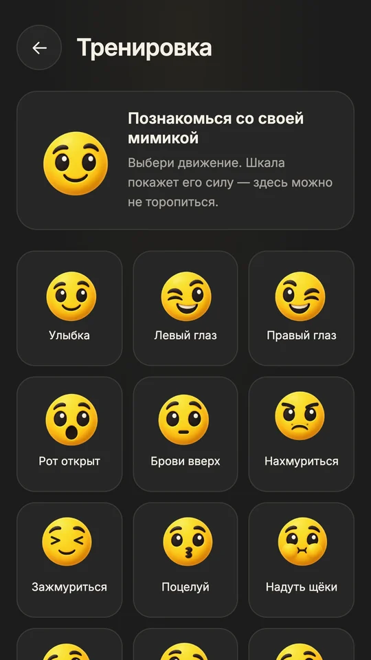 Экран тренировки с 14 движениями